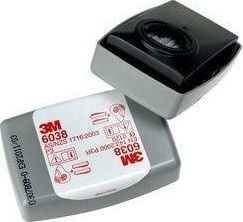 3M DUST FILTER P3 6038 /2pcs