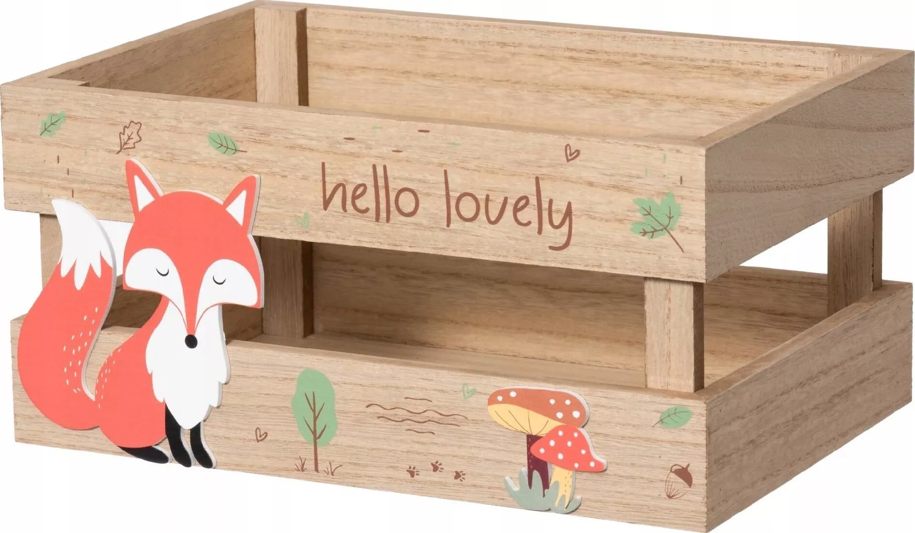 FOXY storage box 20.5 x