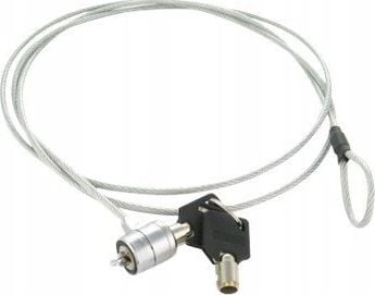 Halogen bulb H1 12V 55W 1