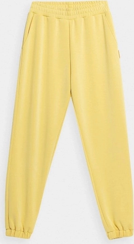 Women````s Trousers 4F F147 Light Yellow