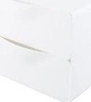 2-compartment desk toolbox  white 4719853526006