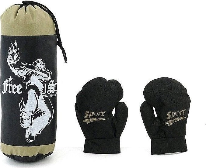 Boxing gloves and a punching bag