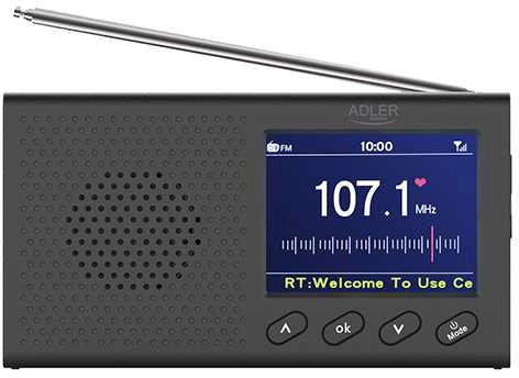 Camry Portable FM Radio with Bluetooth