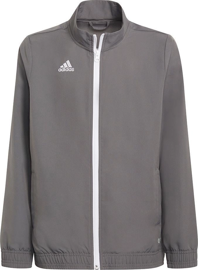 Adidas Entrada 22 Presentation Jacket grey
