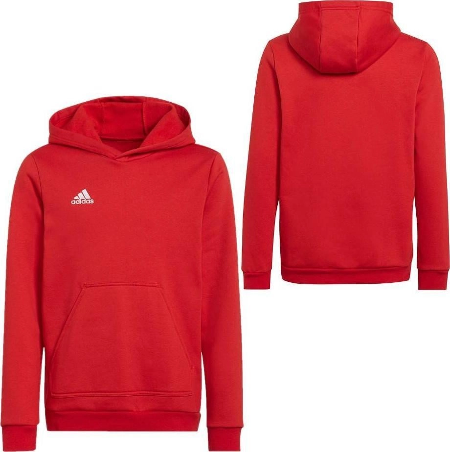 Adidas Entrada 22 Hoody children`s sweatshirt