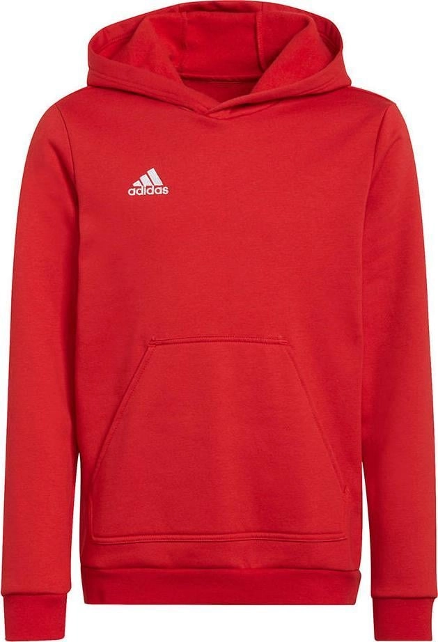Sweatshirt for kids adidas Entrada 22