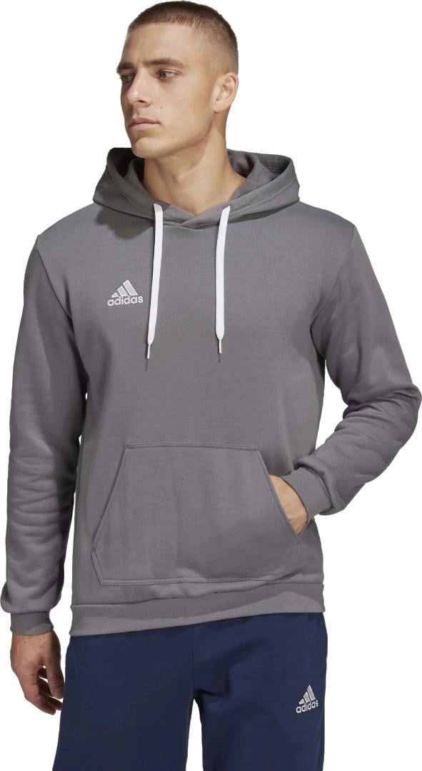 Men`s sweatshirt adidas Entrada 22 Hoody