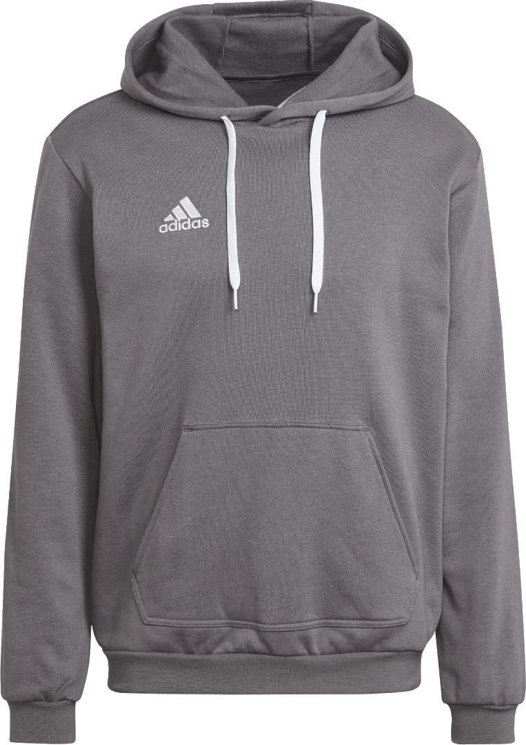 Men`s sweatshirt adidas Entrada 22 Hoody