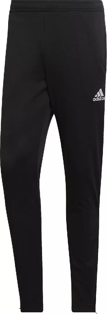Men``s pants adidas Entrada 22 Training
