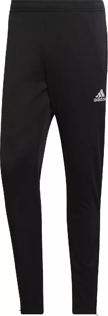 Adidas Entrada 22 Training men`s pants