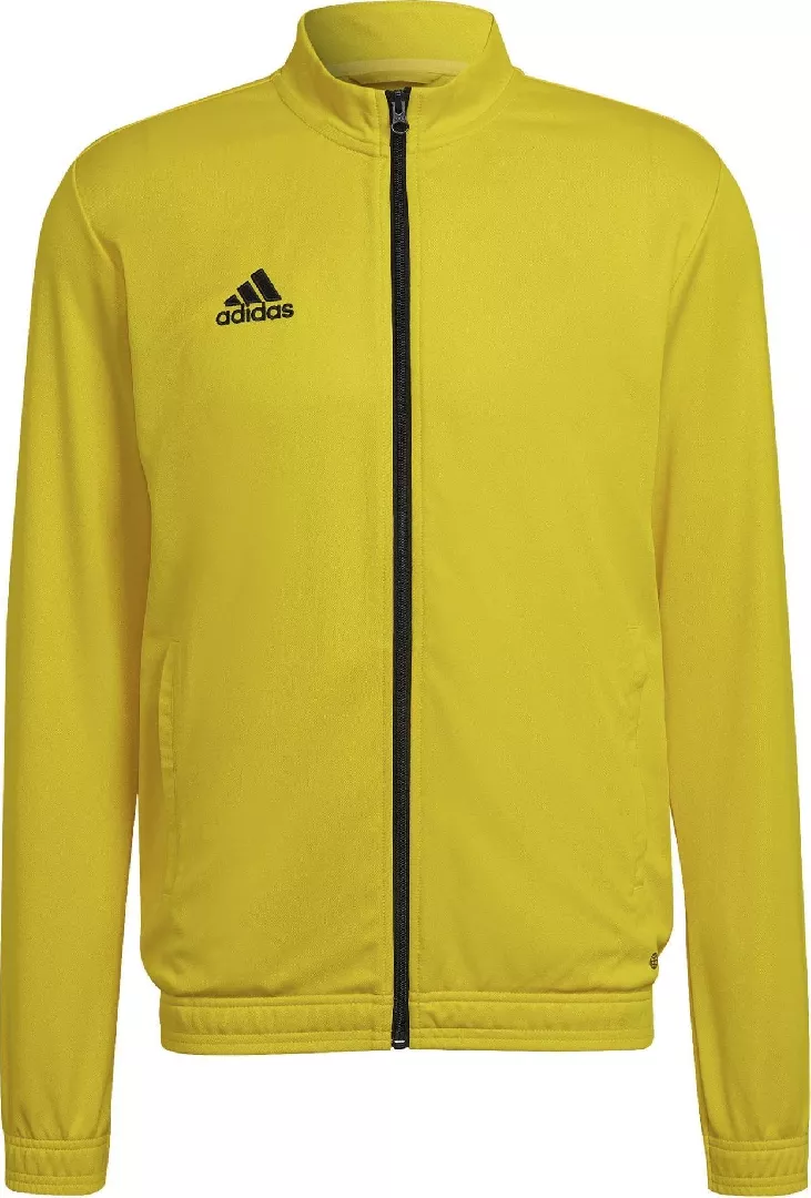 Men`s sweatshirt adidas Entrada 22 Track