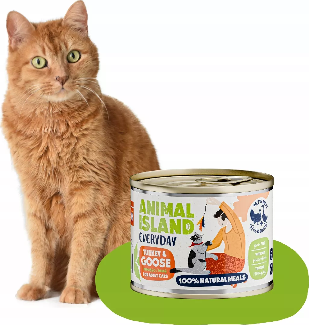 Animal Island ANIMAL ISLAND Indyk i