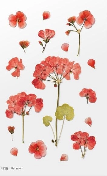 Decorative stickers geranium flowers 13301A02851AP 8809269839091