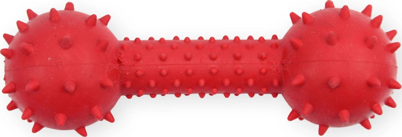 Aqua Nova PETNOVA DUMBBELL WITH BELL