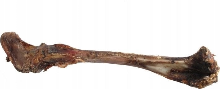 Arami ARAMI. KOŚĆ JELENIA DUŻA VAT010278