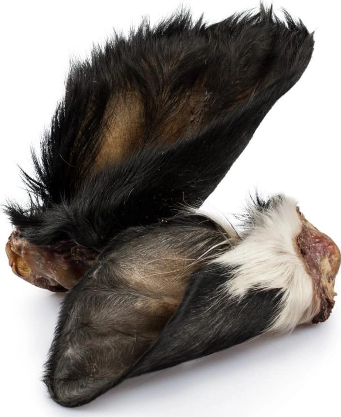 Arami ARAMI B UCHO WOŁOWE FUTRO