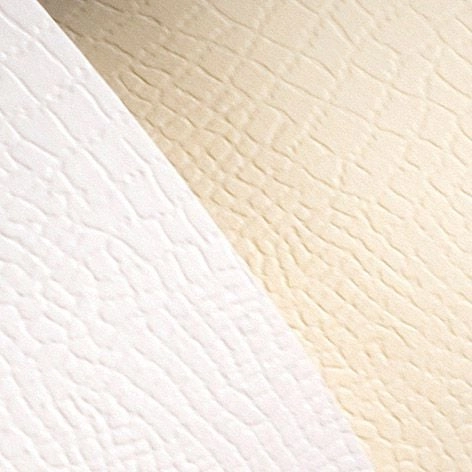 Argo Decorative cardboard A4 Borneo white