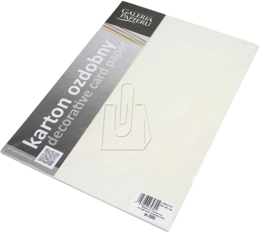Argo KARTON OZDO.A4 SATYNA BIAŁY