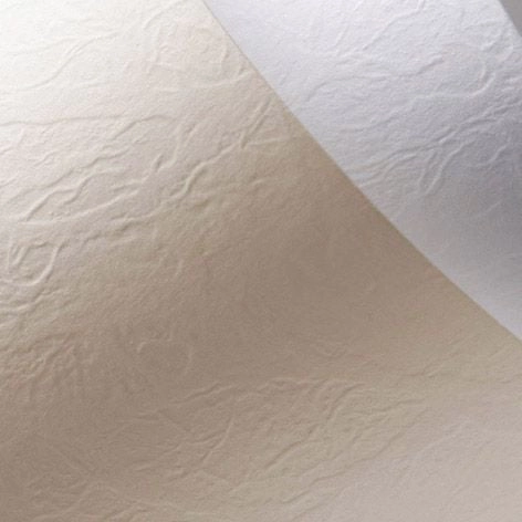 Argo Papier ozdobny Galeria Papieru skóra