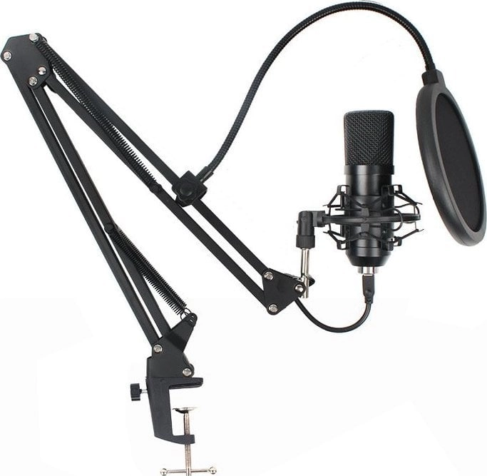 ART CONDENSER MICROPHONE ON A BOOM