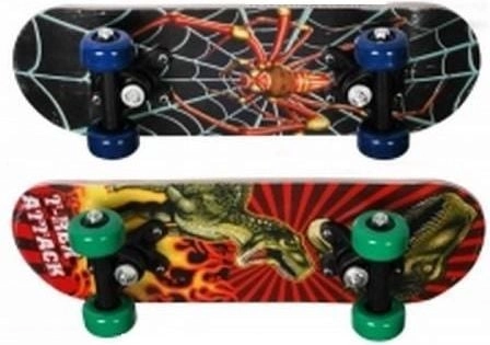 Different types of skateboard 282968 AR/5592