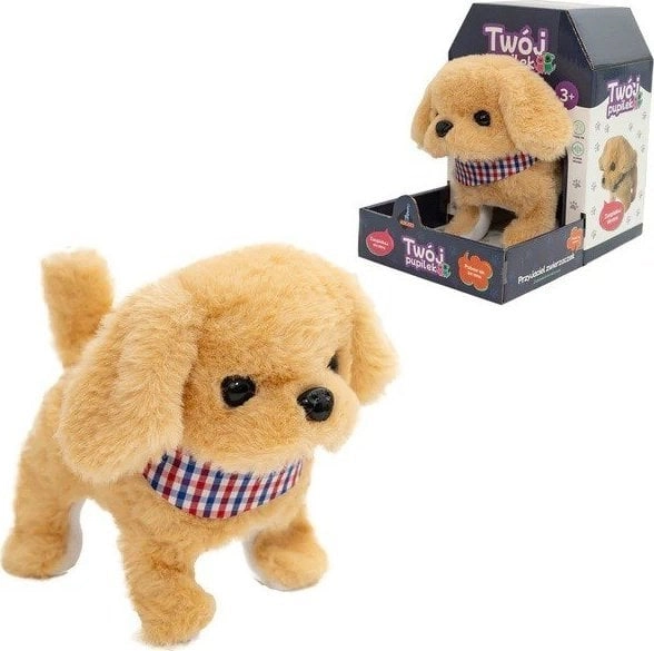 Your pet dog 126067 6901440126067