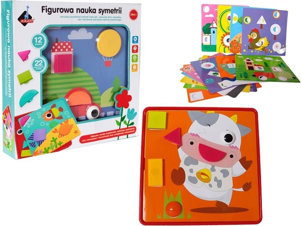 Askato Figure Learning of Symmetry 299941