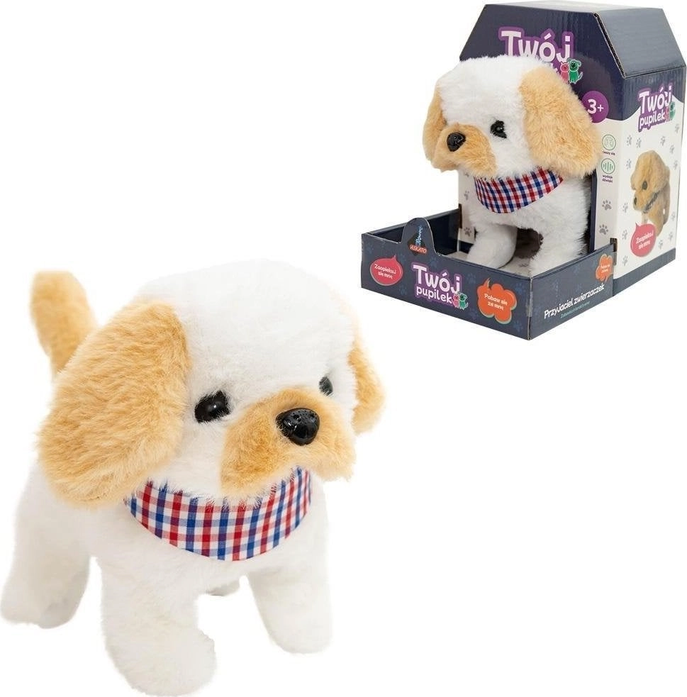 Your pet dog 6901440126050