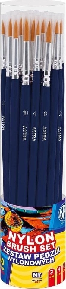 Set of 40 ASTRA nylon brushes