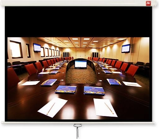 Avtek Business 240 handheld wall screen