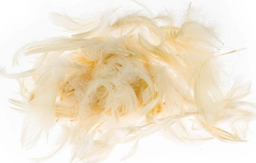 BREWIS PiĂłrka 7g /P7-2/ ecrue WIKR-1012711