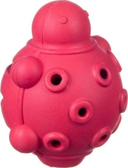 Barry King Turtle dog toy for