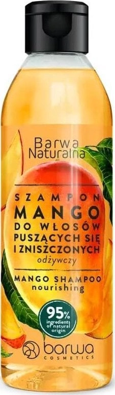 Barwa Barwa Shampoo for frizzy and