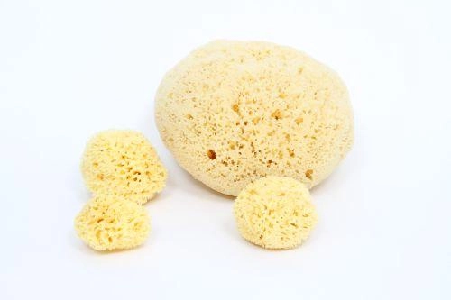 Bellini Babu® natūrali kempinė nr.10