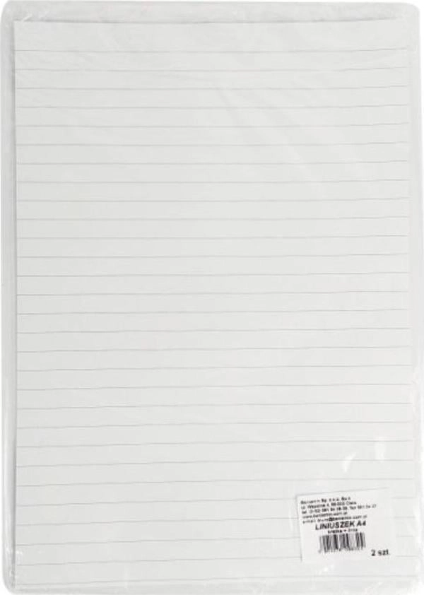 Beniamin Liniuszek A4 kratka/linia 2szt 378449