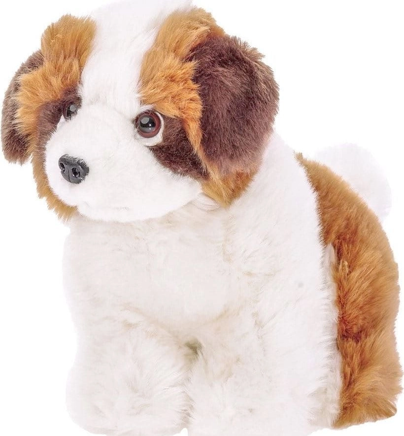 Beppe St. Bernard Beppe the dog