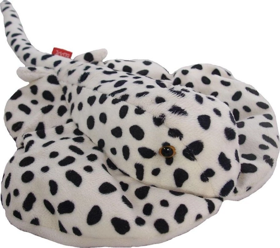 Stingray 13370 BEPPE 5901703113514
