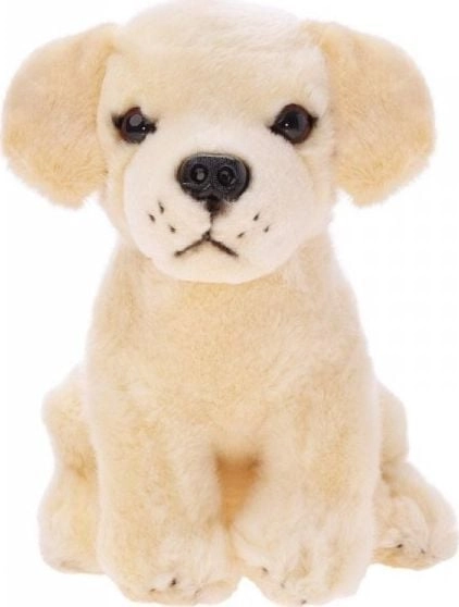 Beppe Mascot Dog Labrador sitting 20