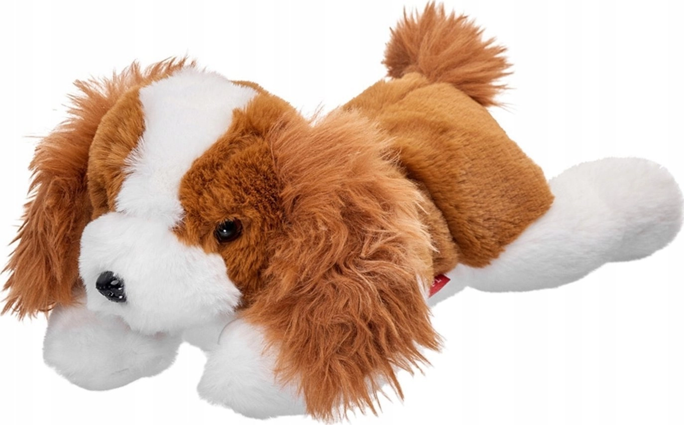 Beppe Mascot Dog Cavalier lying 35