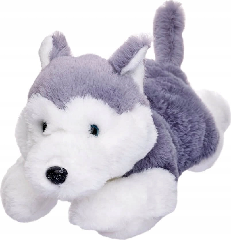 Beppe Mascot Husky dog ​​lying 35