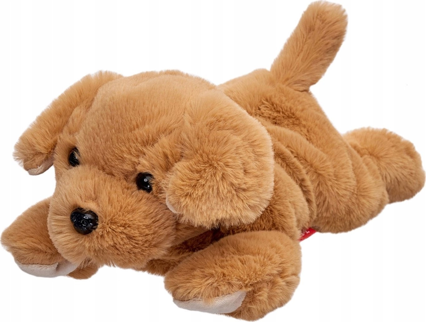 Beppe Mascot Labrador dog lying 35