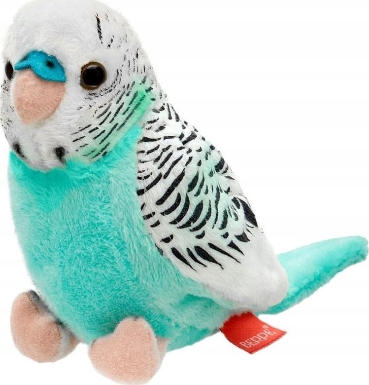 Azure and white budgerigar 13 cm