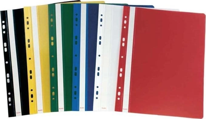 Biurfol Plastic folder with perforation A4