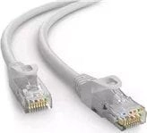 C-Tech cable patchcord Cat6e  UTP  gray