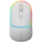 CANYON Mouse MW-22 2in1 BT/ Wireless