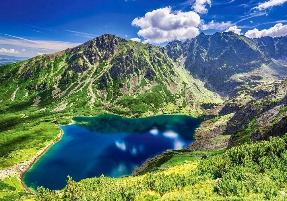 Castorland Puzzle 500 Czarny Staw Gąsienicowy