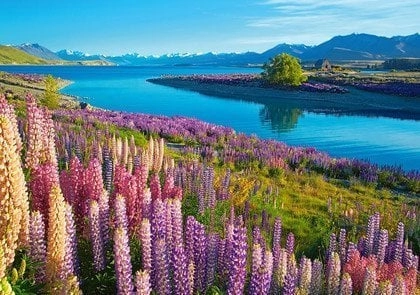 Castorland Puzzle 500 pieces Lake Tekapo
