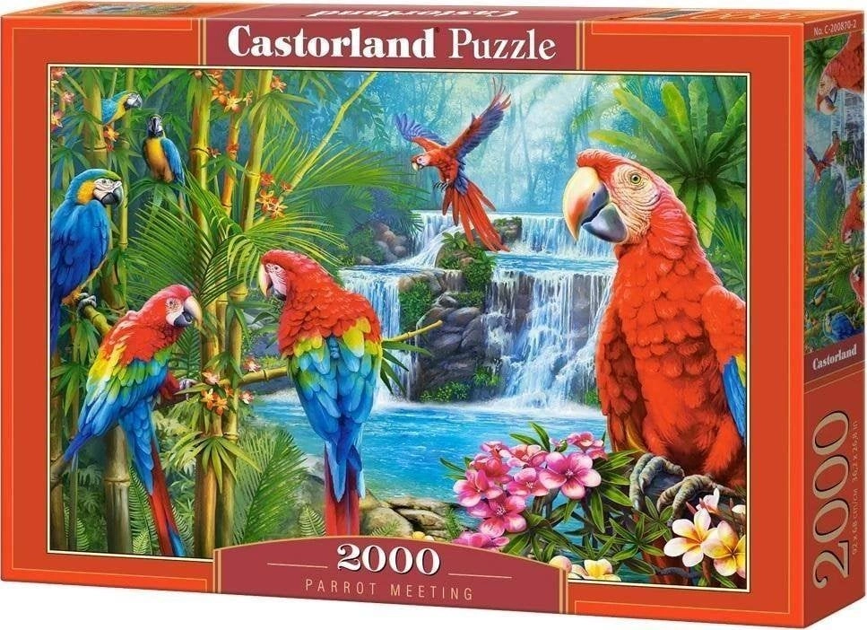 Castorland Puzzle Parrot Meeting 2000 pieces