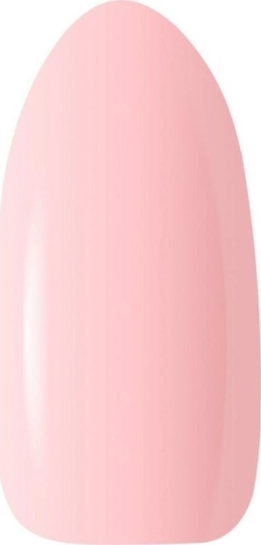 Claresa SoftEasy Builder nail building gel