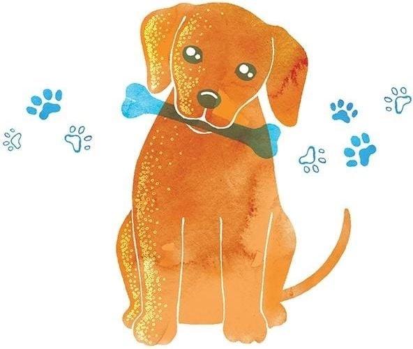 Clear Creation Swarovski Carnet square Dog